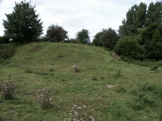 Pickhill Moated Mound (Artificial Mound) by BrigantesNation