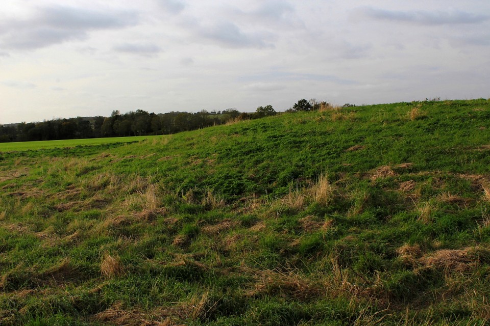 Mill Mound, Salcott-cum-Virley (Round Barrow(s)) by GLADMAN