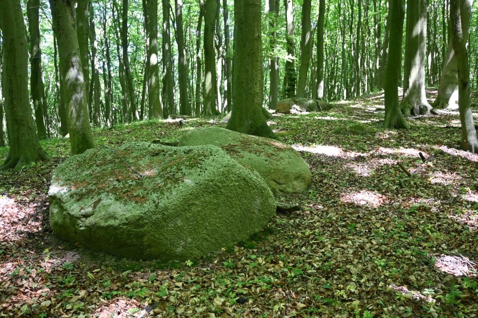 Hagen-Stubnitz 2 (Chambered Tomb) by Nucleus