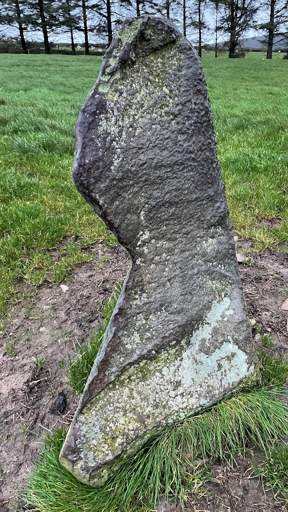 Croghan Middle (Standing Stone / Menhir) by ryaner