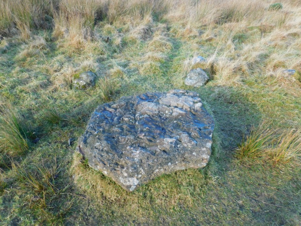 Cnoc A Moine (nr Beauly) (Kerbed Cairn) by drewbhoy