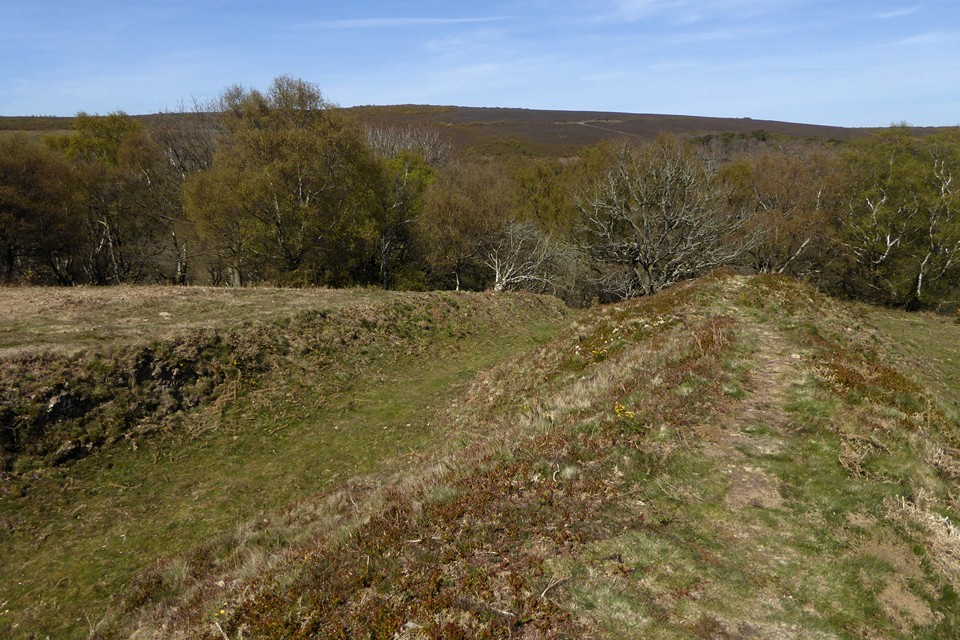 Bury Castle (Selworthy) (Hillfort) by thesweetcheat
