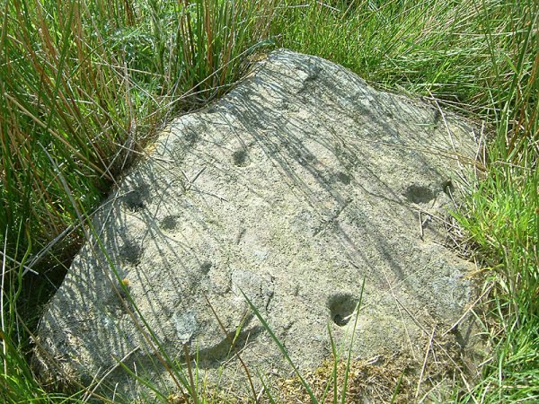 Chisworth (Cup Marked Stone) by stubob