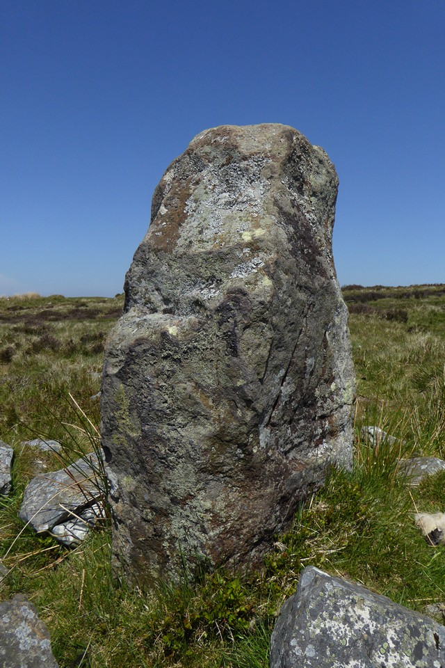 Carreg Maen Taro (Standing Stone / Menhir) by thesweetcheat