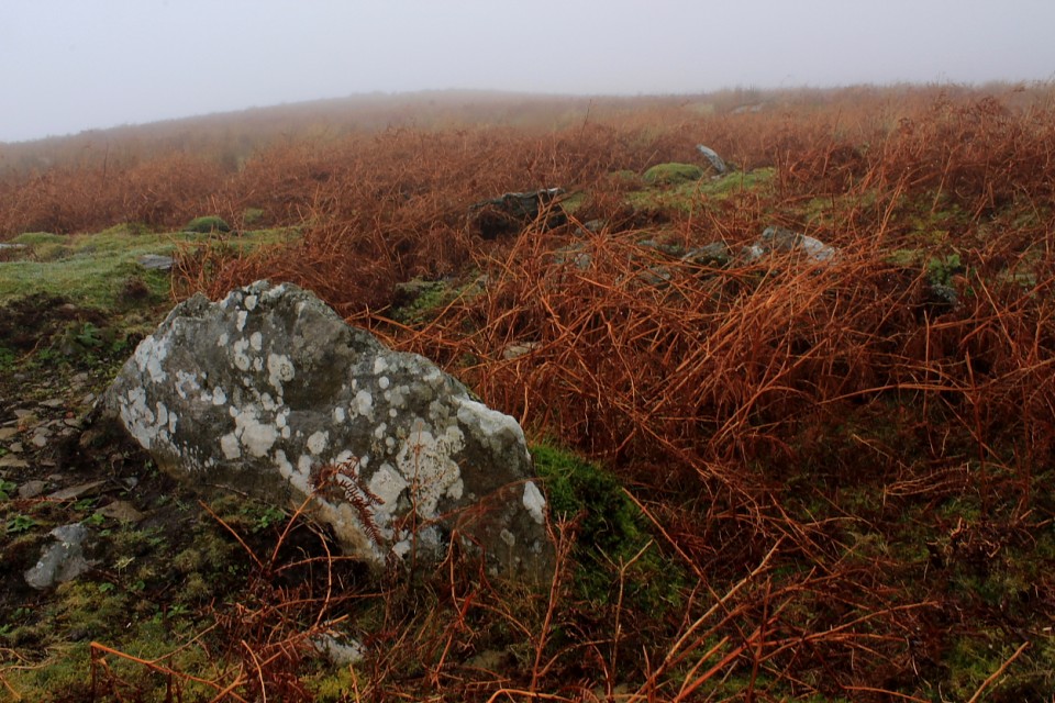 Graig Fawr (Chambered Tomb) by GLADMAN