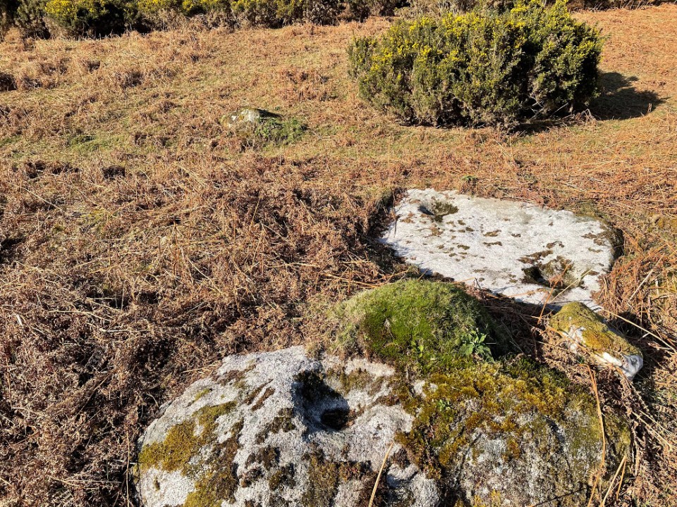 Brockagh II (Bullaun Stone) by ryaner