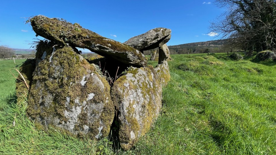 Ballyrenan (Portal Tomb) by ryaner