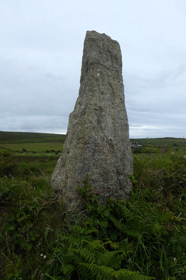Wheal Buller Menhir (Standing Stone / Menhir) by thesweetcheat