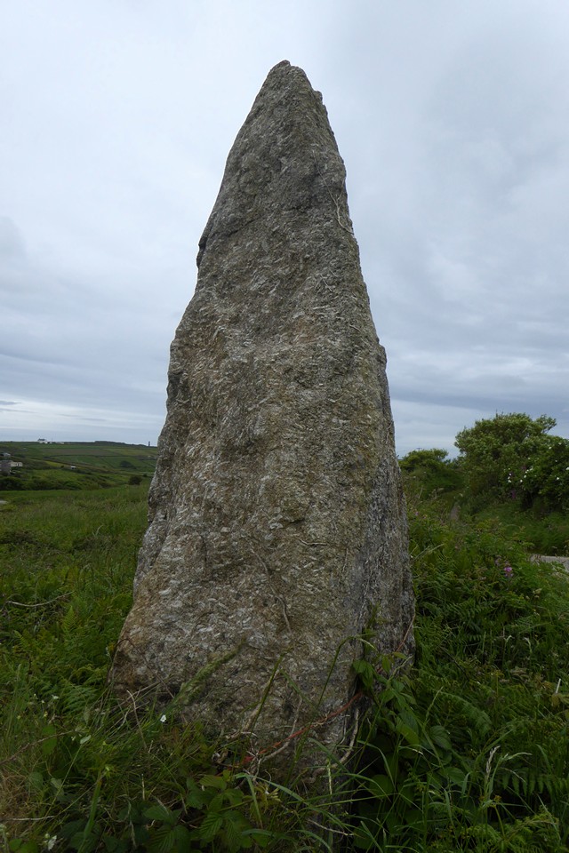 Wheal Buller Menhir (Standing Stone / Menhir) by thesweetcheat