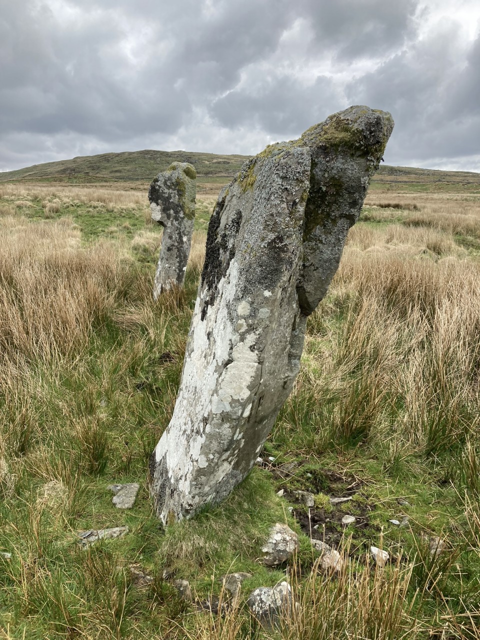 Blair Hill (Standing Stones) by markj99