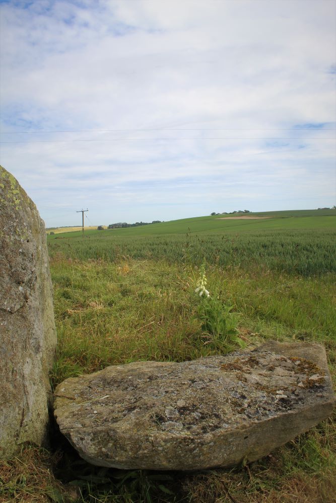 South Ythsie (Stone Circle) by postman