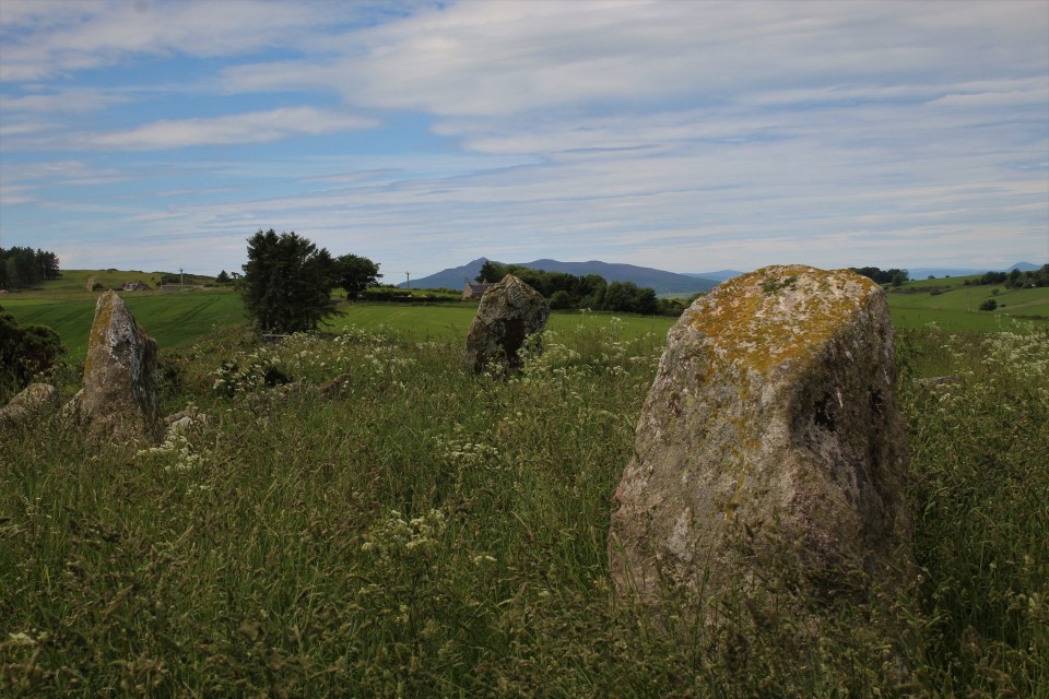 Shieldon (Stone Circle) by postman