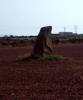 Trecenny Stone (Standing Stone / Menhir) by Dominic_Brayne