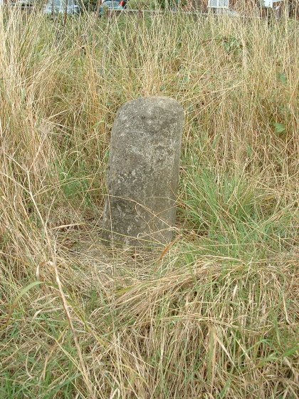 Devil's Jump Stone (Standing Stone / Menhir) by shadow
