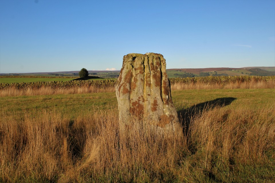 Hartwith Moor (Standing Stone / Menhir) by postman