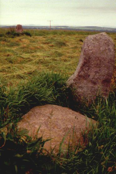 Cairnfauld (Stone Circle) by Moth