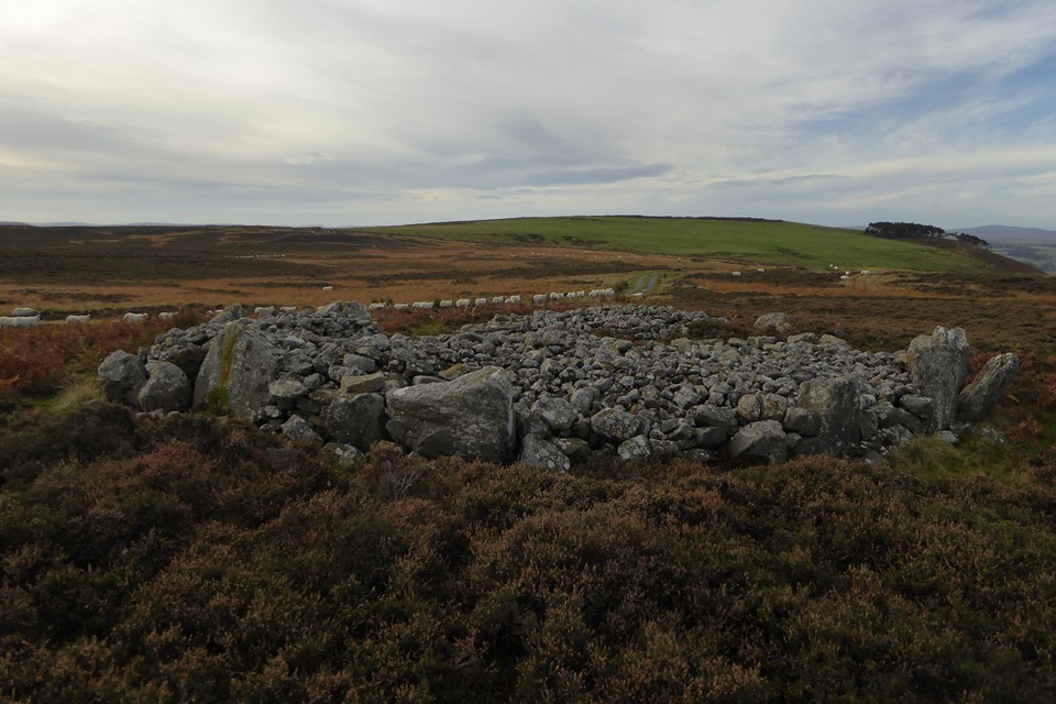 Blawearie Cairn (Kerbed Cairn) by thesweetcheat