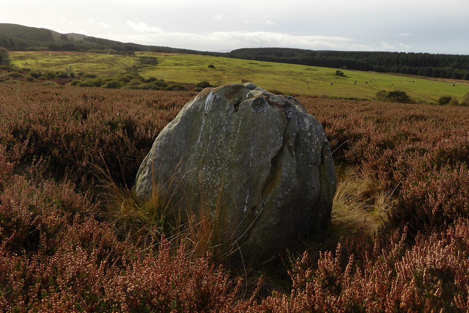 Whinny Hill (Stone Circle) by thesweetcheat