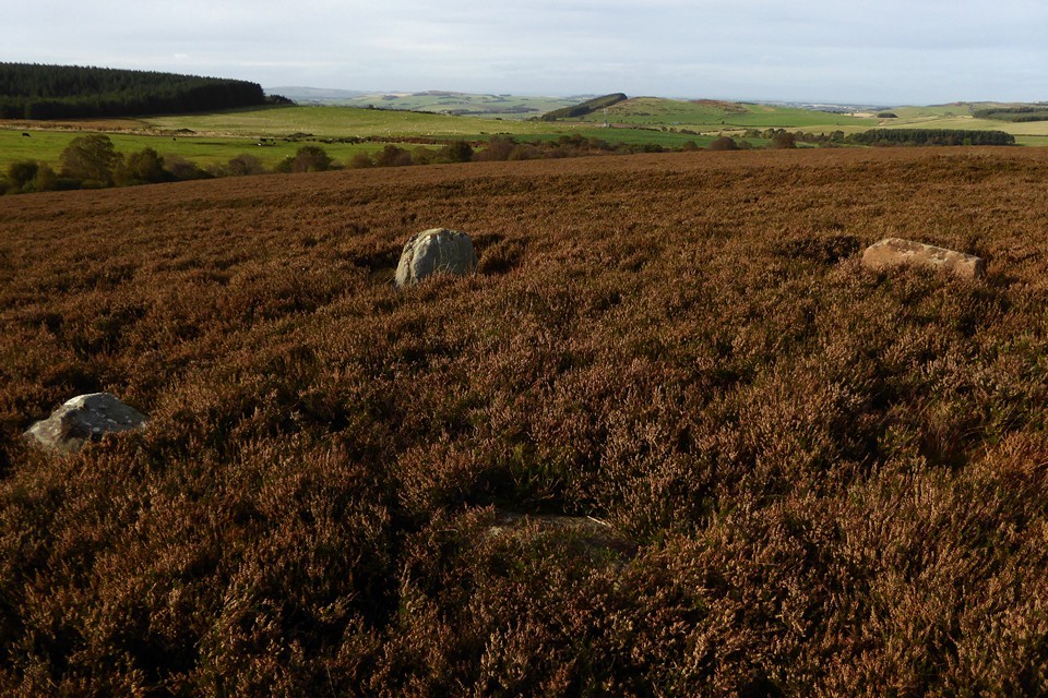 Whinny Hill (Stone Circle) by thesweetcheat