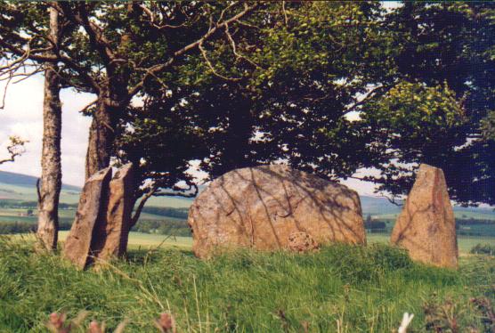 Dunnydeer Farm (Stone Circle) by Moth