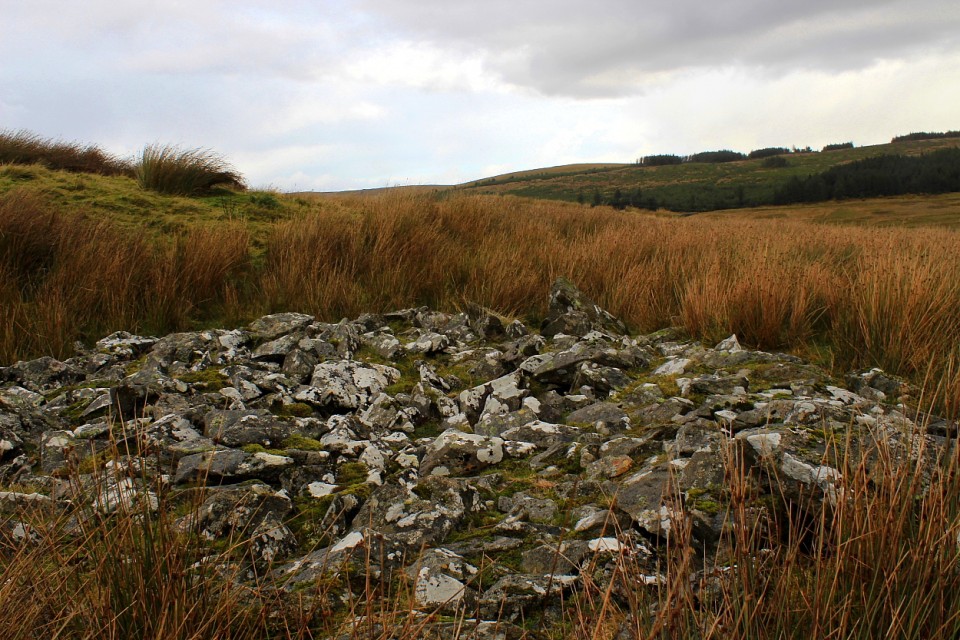 Afon Prysor (Cairn to NW of) (Round Cairn) by GLADMAN