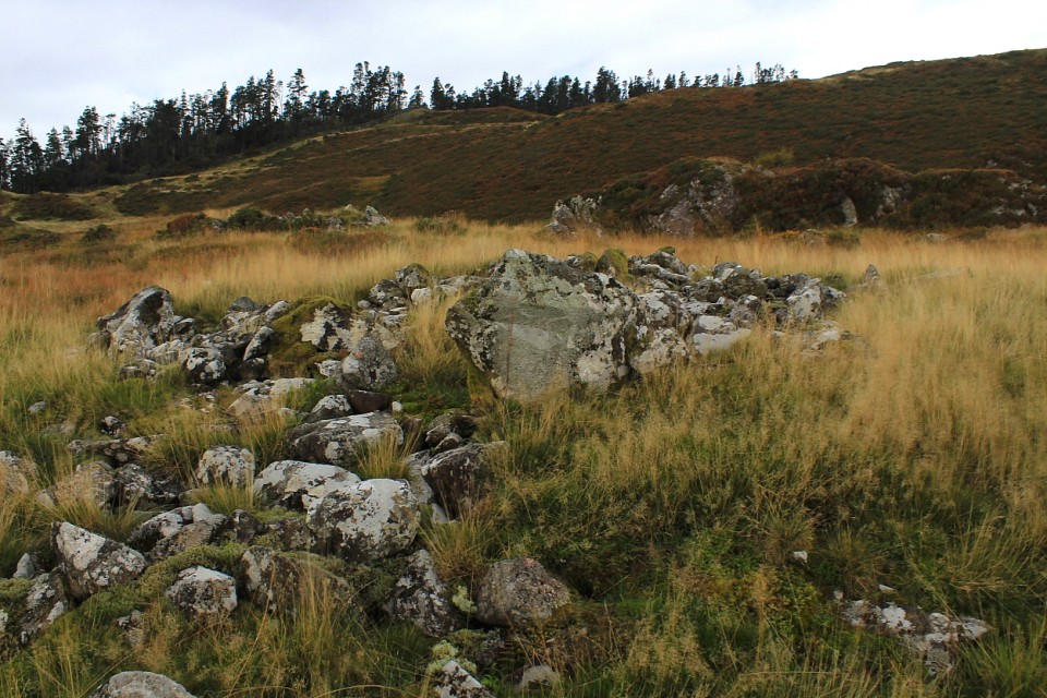 Cefn Coch, Y Rhinogydd (Round Cairn) by GLADMAN
