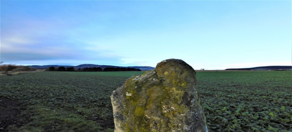 The Thief's Stone (Standing Stone / Menhir) by drewbhoy