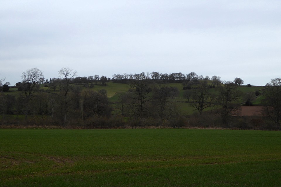 Wall Hills (Thornbury) (Hillfort) by thesweetcheat