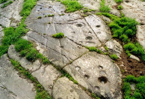 Creagantairbh (Cup and Ring Marks / Rock Art) by rockartuk