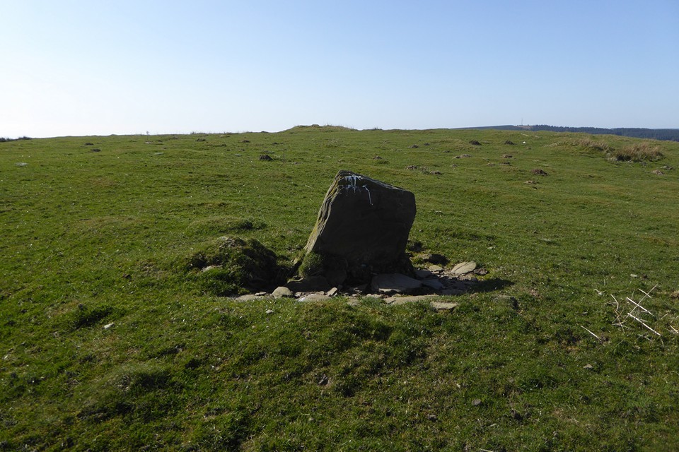 Mynydd y Capel stone (Standing Stone / Menhir) by thesweetcheat