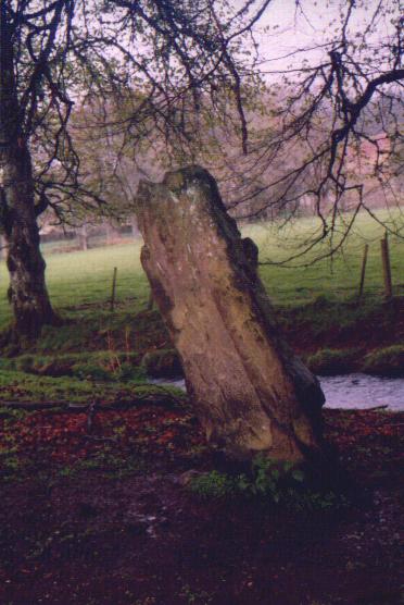 Mony's Stone (Standing Stone / Menhir) by Moth