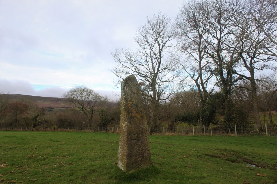 Wern Derys (Standing Stone / Menhir) by postman