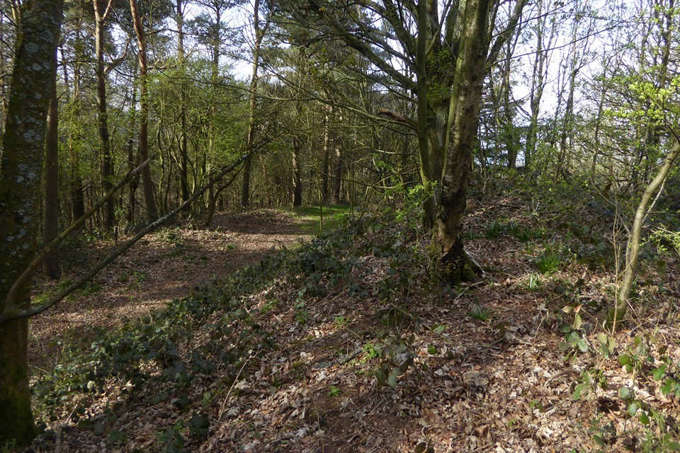 Woodbury Hill (Great Witley) (Hillfort) by thesweetcheat