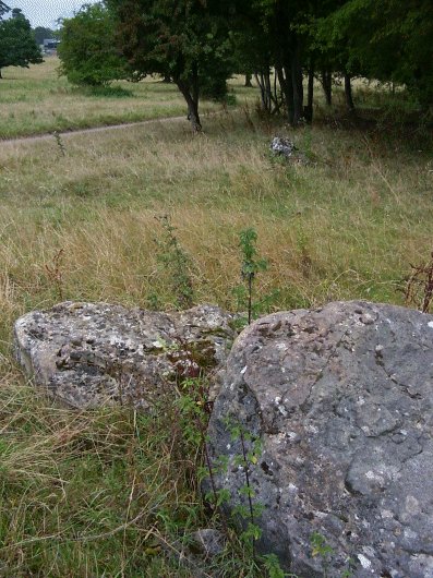 Goose Stones (Standing Stone / Menhir) by Jane