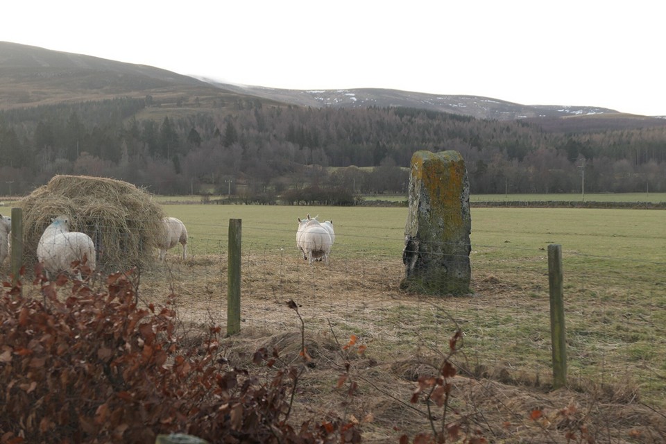 Scurriestone (Standing Stone / Menhir) by thelonious