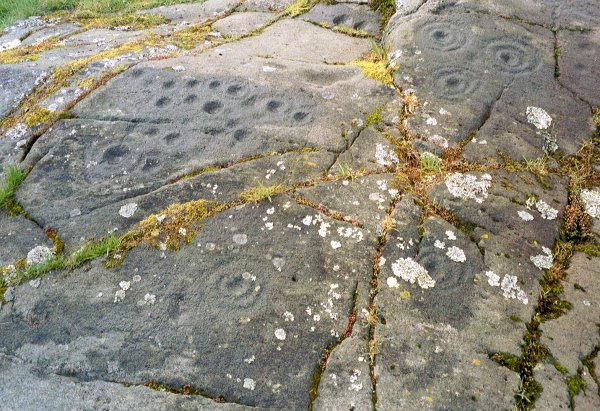 Baluachraig (Cup and Ring Marks / Rock Art) by rockartuk