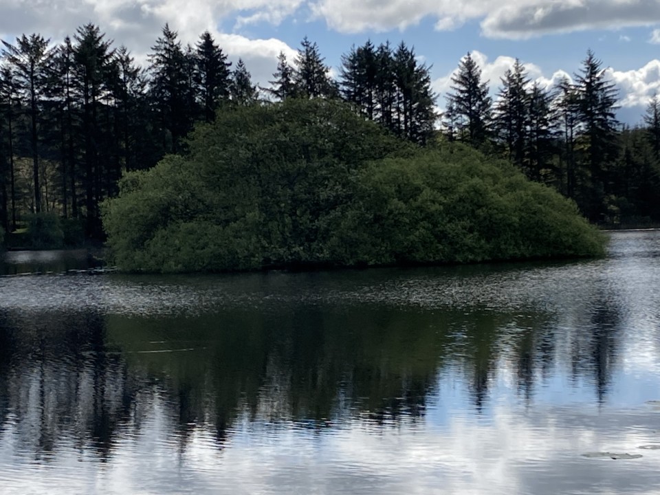 Loch Heron (Crannog) by markj99