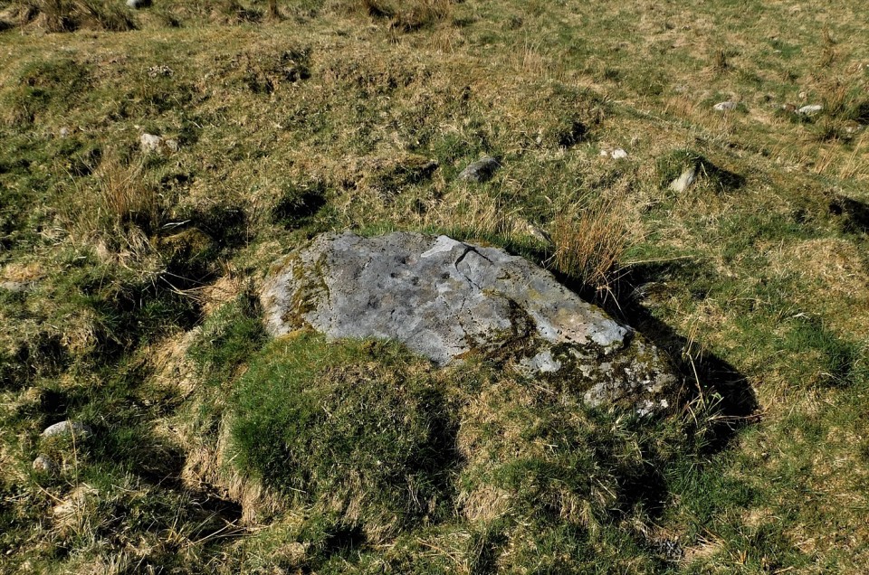 Glennan Cairn (Cup Marked Stone) by drewbhoy