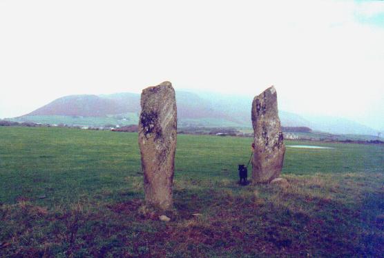 Giant's Grave (Standing Stones) by Moth