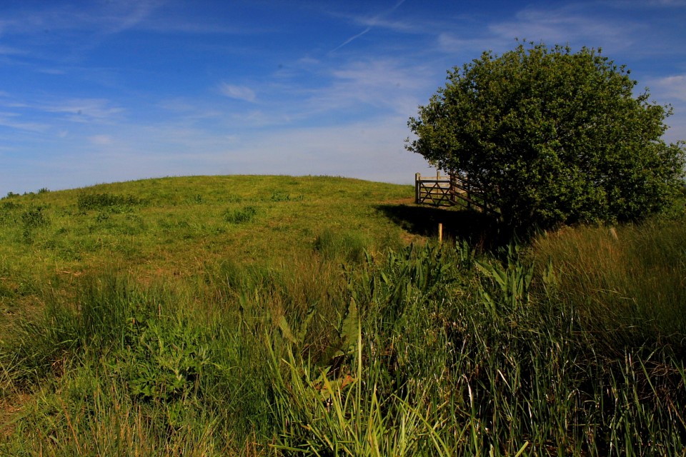 Barrow Hill, Higham Marshes (Sacred Hill) by GLADMAN