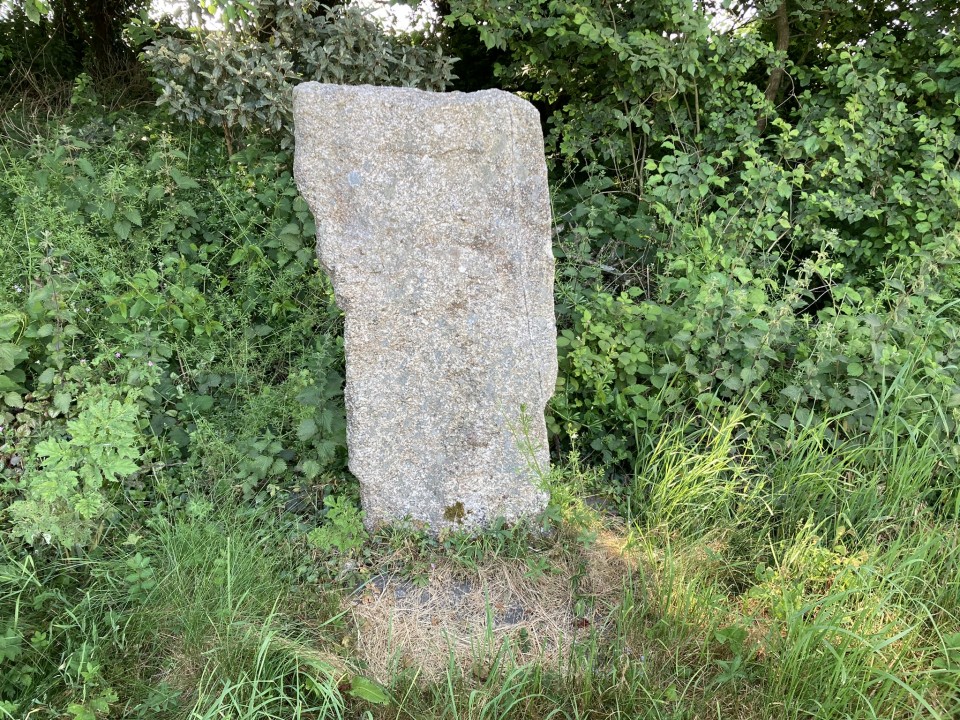 Longstone (St Mabyn) (Standing Stone / Menhir) by markj99