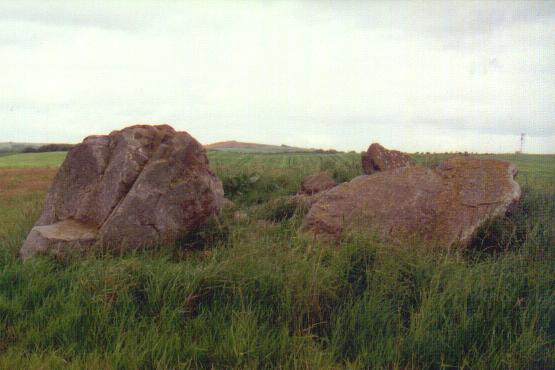 Temple Stones, Millden (Stone Circle) by Moth