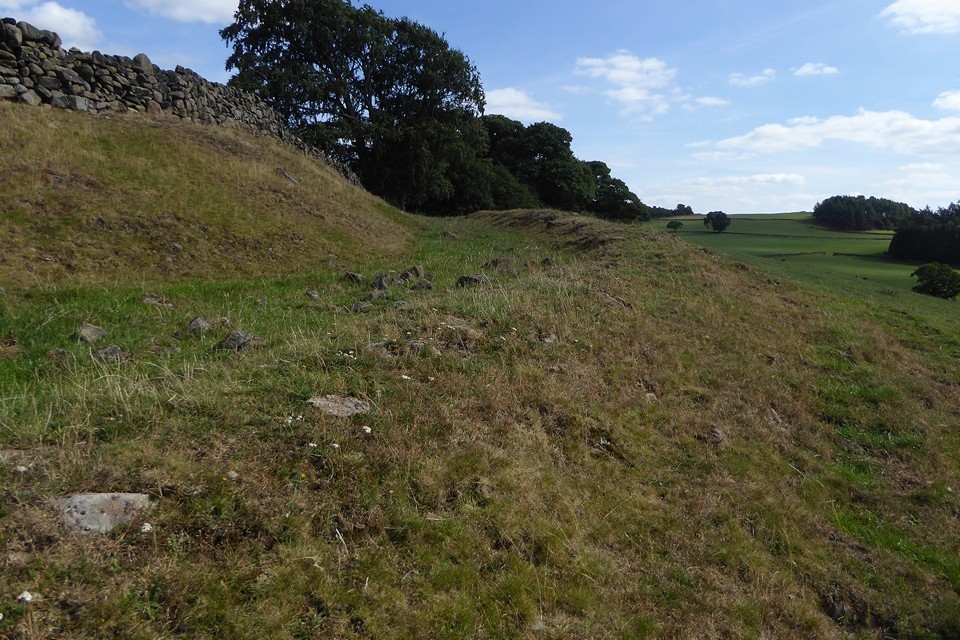 Castle Ring (Harthill) (Hillfort) by thesweetcheat