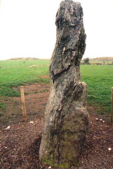 Ty Mawr (Standing Stone / Menhir) by Moth