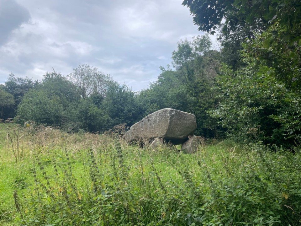 Glendruid (Portal Tomb) by mound-dweller