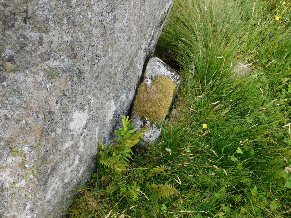 Beinn A'Charra (Standing Stone / Menhir) by drewbhoy