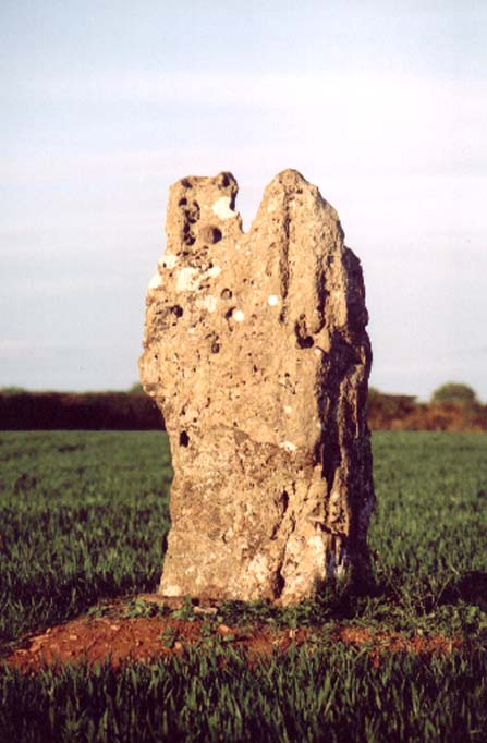Hawk Stone (Standing Stone / Menhir) by treaclechops