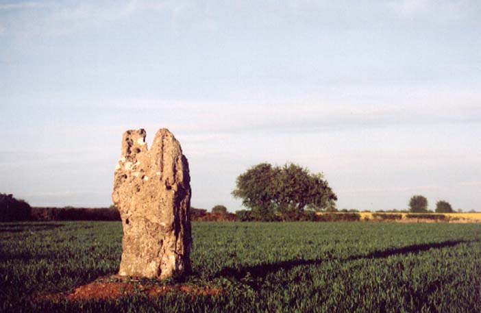 Hawk Stone (Standing Stone / Menhir) by treaclechops