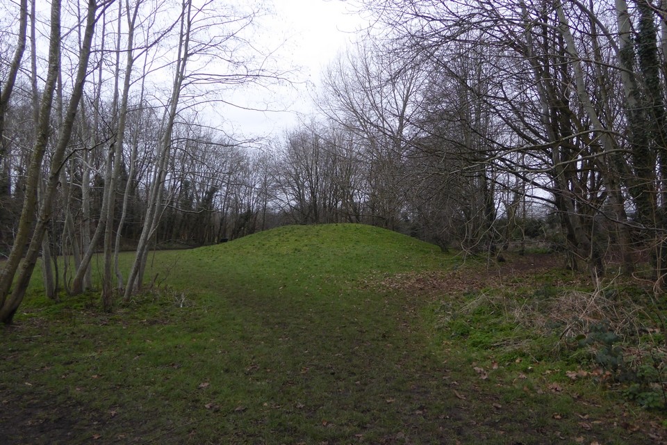Badock's Wood (Round Barrow(s)) by thesweetcheat