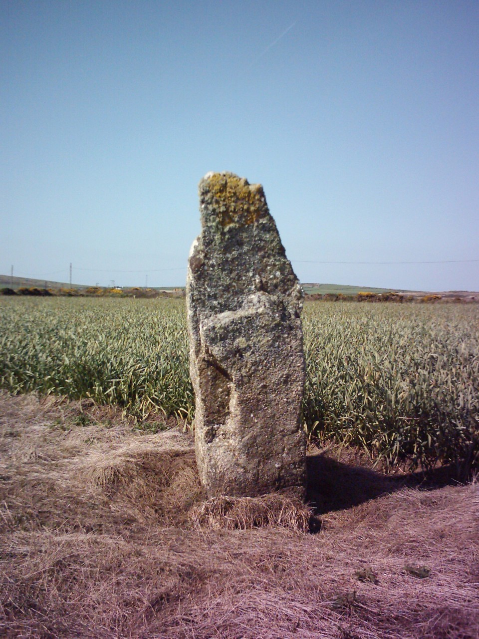 Trevorgans Menhir (Standing Stone / Menhir) by Chris Bond